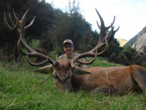 Dave Noem - Red Stag - New Zealand
